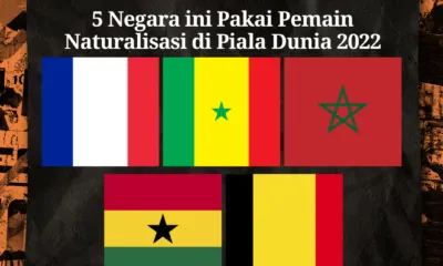 Pemain naturalisasi di piala dunia